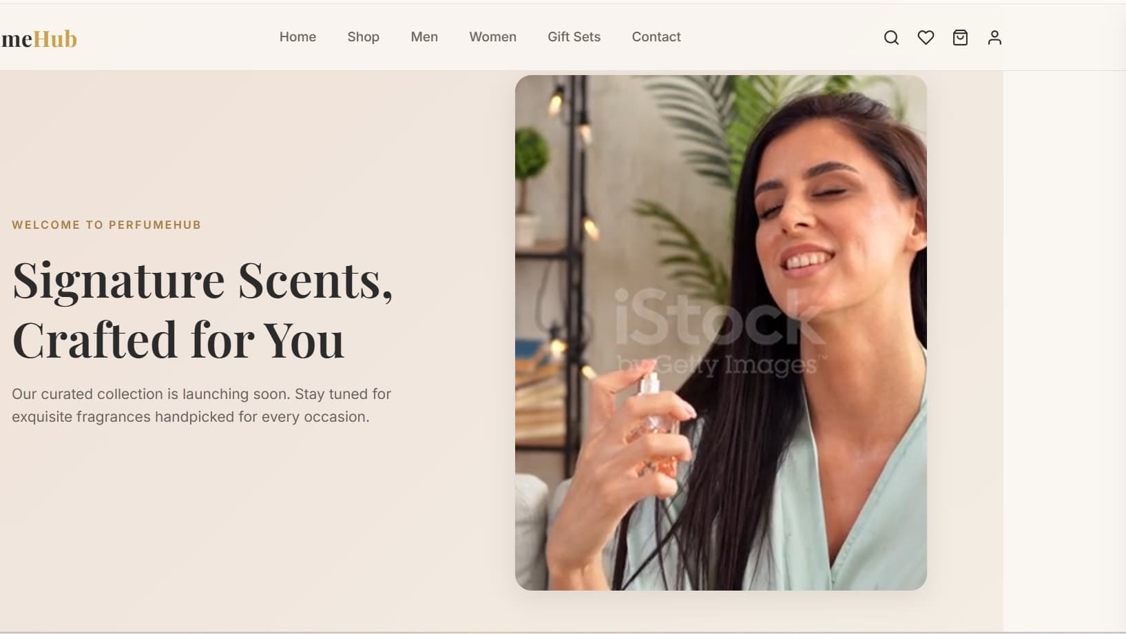 Custom E-commerce Store Development